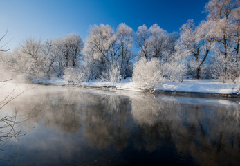 Obraz na płótnie Canvas winter trees covered with frost and fog on the river