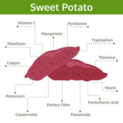 sweet potato nutrient of facts and health benefits, info graphic