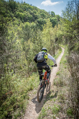 Obraz na płótnie Canvas Segui il sentiero in mountain bike
