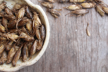 Fried insect