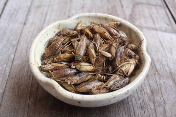 Fried insect