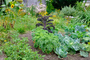 Allgäuer Bauerngarten bei Eglofstal im Sommer