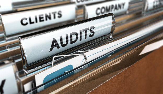 Internal Audit, Company Management