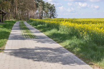 Wirtschaftsweg zwischen Feldern