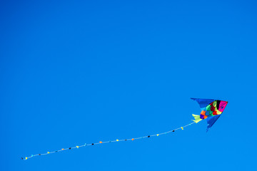 colorful kite flying in the wind free