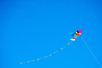 colorful kite flying in the wind bound