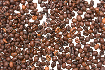 roasted coffee beans on a white background