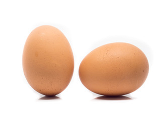 chicken egg isolated on white