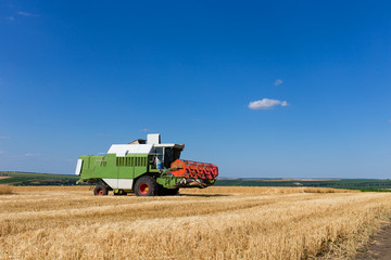 Fototapeta premium Combine harvester working on a wheat field.
