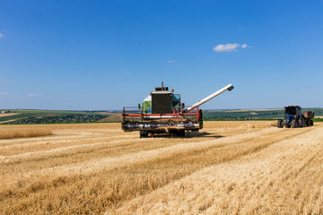 Obraz premium Combine harvester working on a wheat field.