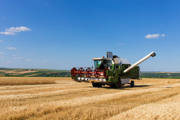 Fototapeta premium Combine harvester working on a wheat field.