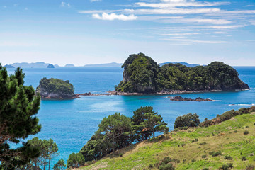 Naklejka premium Coromandel coastline