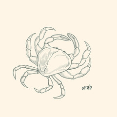  vector hand drawn illustration of crab