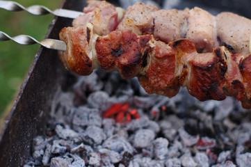 Meat of a shish kebab prepares on coals. Appetizing hot shish kebab on skewers