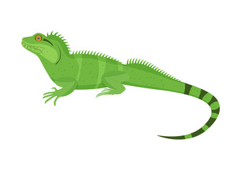 Naklejka premium Chinese water dragon vector illustration