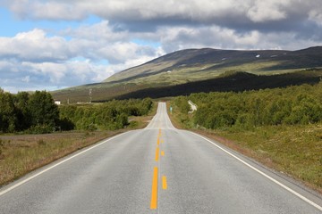 Norway - Dovrefjell 