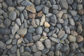 rock texture and background / fade filter