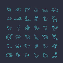 vector icons. Zoo. Animals