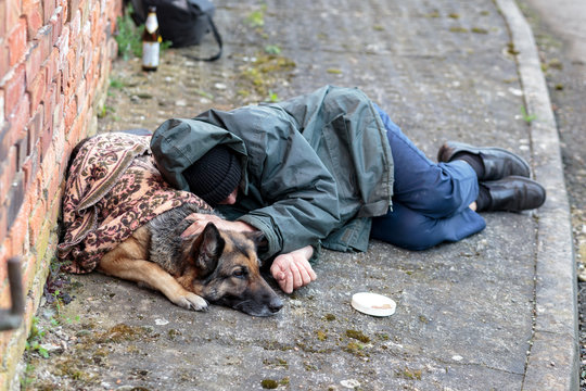 homeless with his only friend