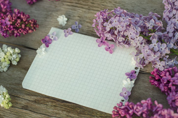 Fresh sheet of paper surrounded with lilac flower.