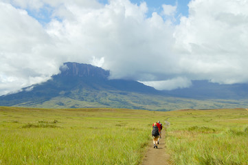 Obraz premium Mount Roraima Trek - Venezuela