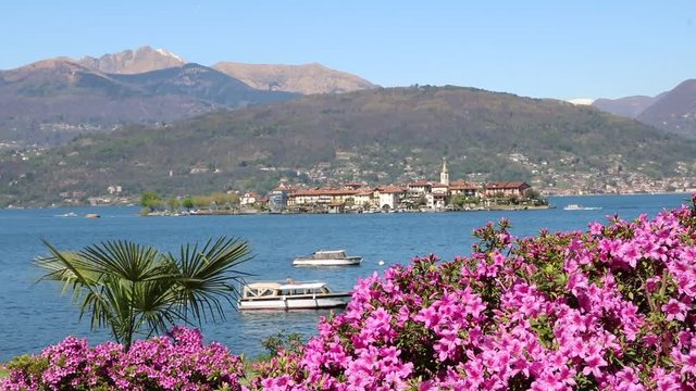 View to Isola dei Pescatori azaleas and palms on Lake Maggiore in Italy 