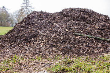Komposthaufen