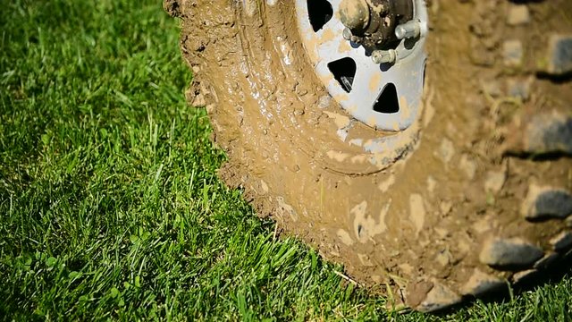 Big vehicle off road wheel and tire full of mud on green grass