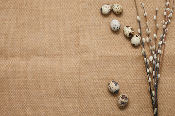 Willow with eggs on the table