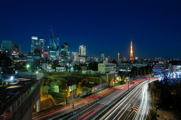 Fototapeta na wymiar Night shot in Tokyo