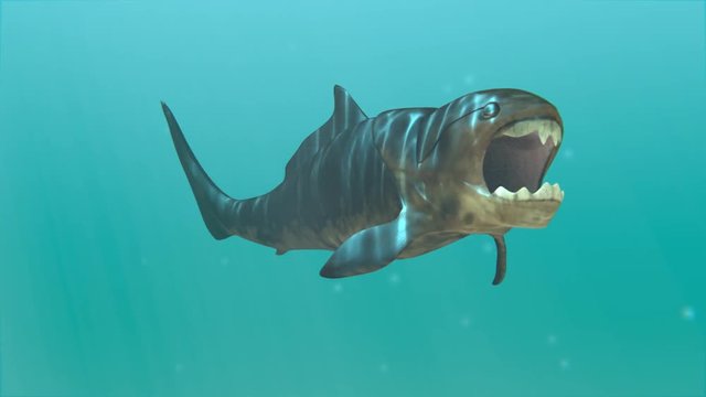 A looping animation of the giant (30 feet) prehistoric fish Dunkleosteus lurking in sea. Dunkleosteus was a placoderm fish that existed during the Late Devonian period
