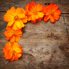 Orange flowers on wooden background