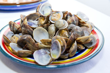 Clams