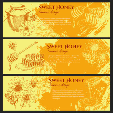 vector honey banner design set. hand drawn jar, spoon, stick, cells, camomile. ink sketch of organic nature products