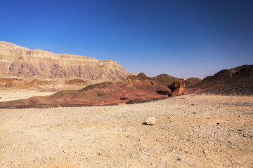 landscape in the desert