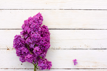 bouquet of purple lilac flowers on a white wood plank background. with space for posting information