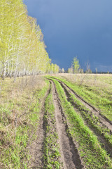 Fototapeta premium road in field