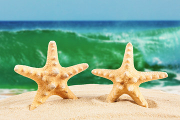 sandy beach.  Starfish on the Beach.  Summer Time