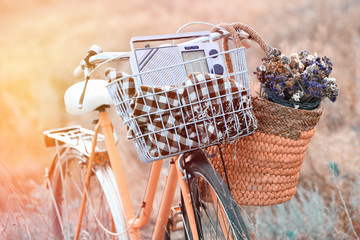 Bicycle with basket of flowers in meadow. Retro style