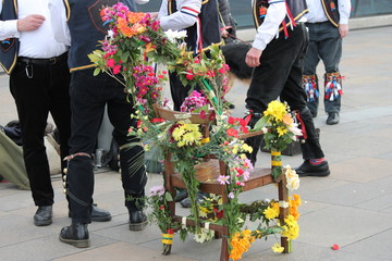Morris dancers bells and ribbons English British tradition flower chair stock, photo, photograph,...