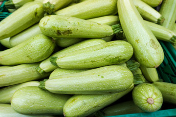 Zucchini at the market.  Fresh green zucchini