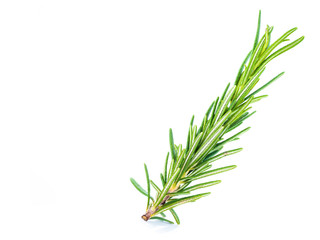 herbal spice leaves name: Rosemary (Rosmarinus officinalis), isolated