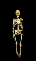 The skeleton of a man isolated on black background