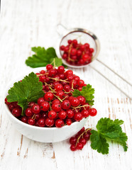 fresh red currant