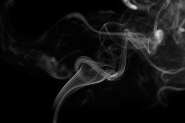 Fototapeta premium Abstract gray smoke from the incense sticks.