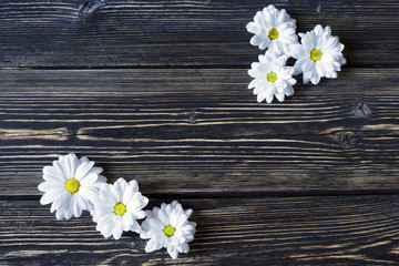 white flowers on textured  wooden background with place for text
