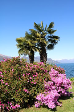 Holidays under blue sky at Lake Maggiore, Piedmont Italy