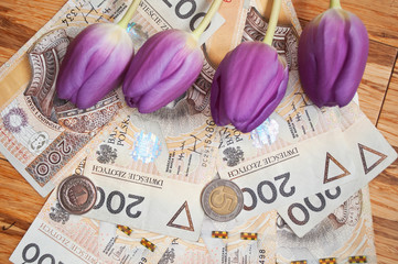 Background from 200 polish zloty and coins and tulips