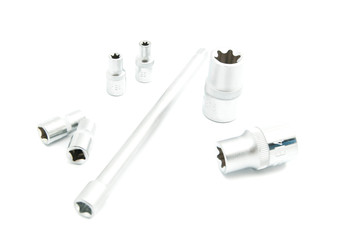 different heads on white