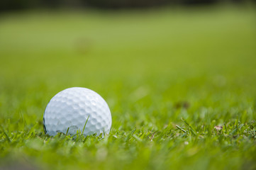 detail of golf ball on grass